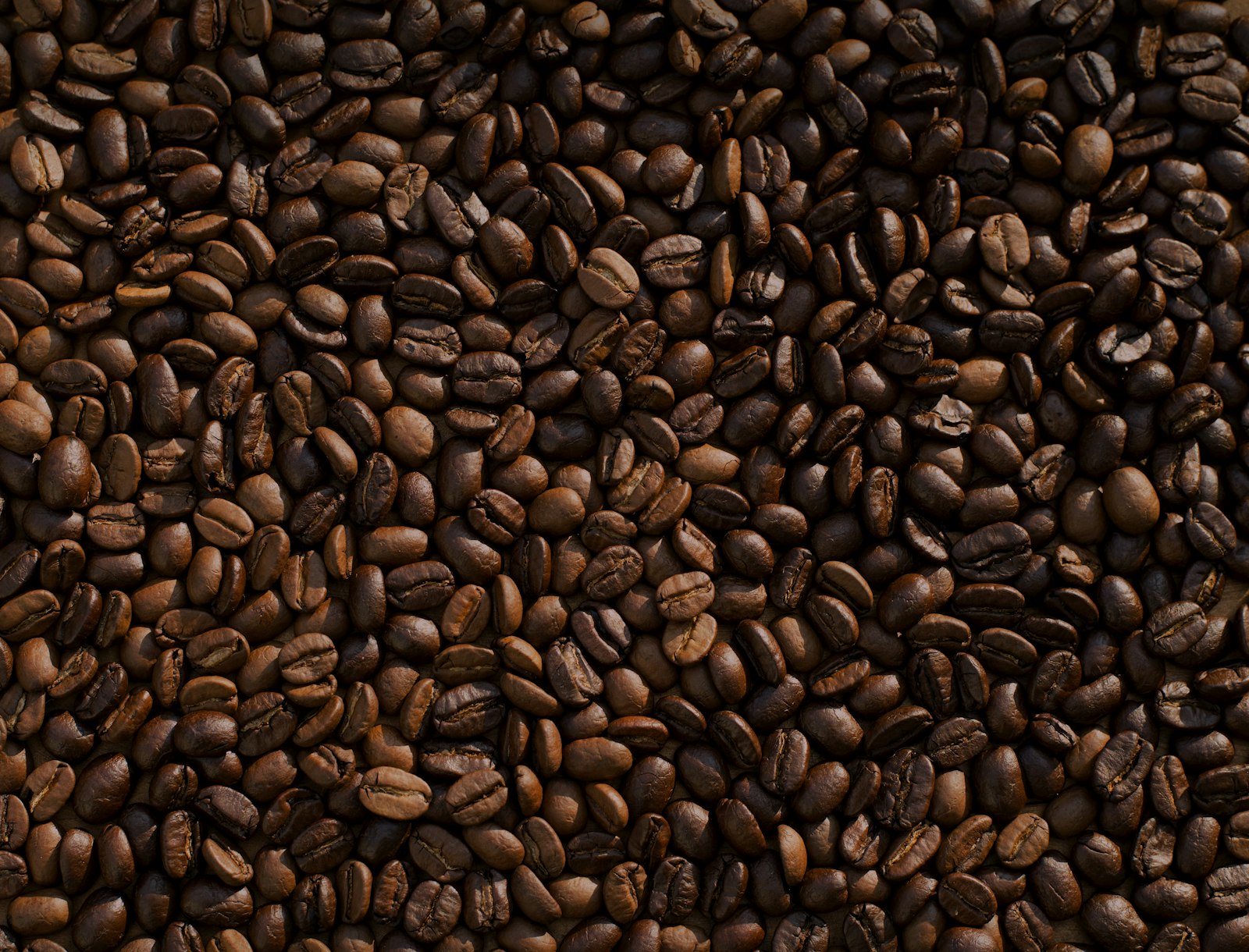 Open bags of roasted beans laid out on a work table.